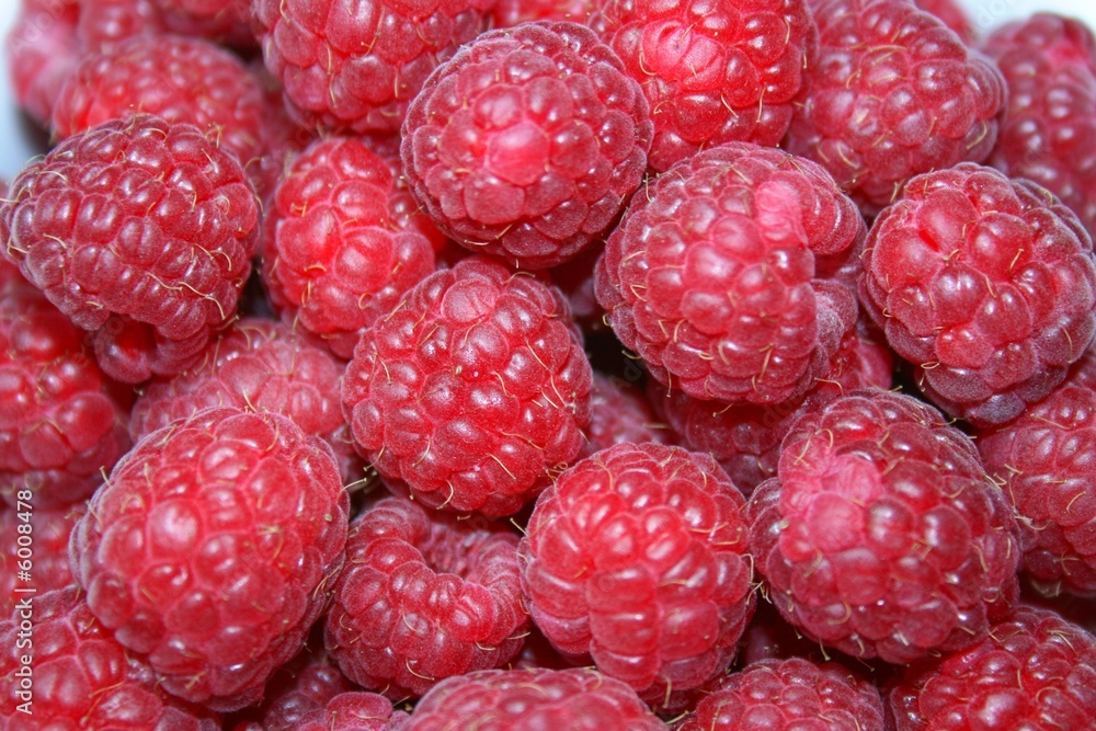 red raspberry red raspberry