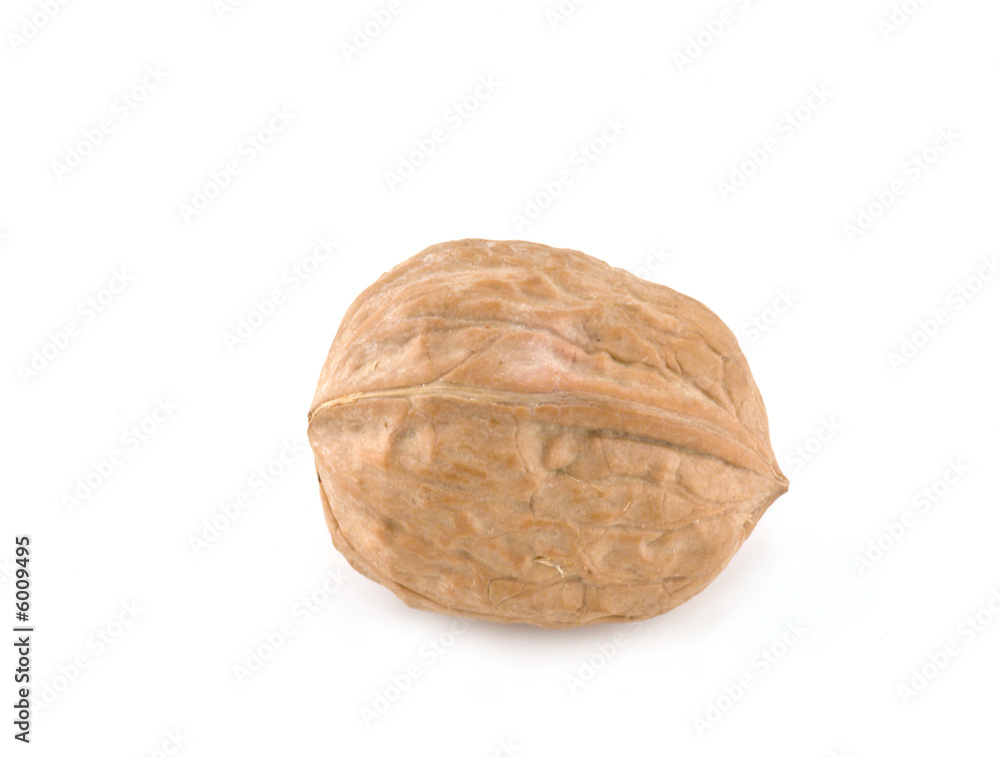 walnut isolated on white walnut isolated on white