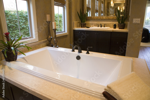 Luxurious bathtub with plants and other decor.