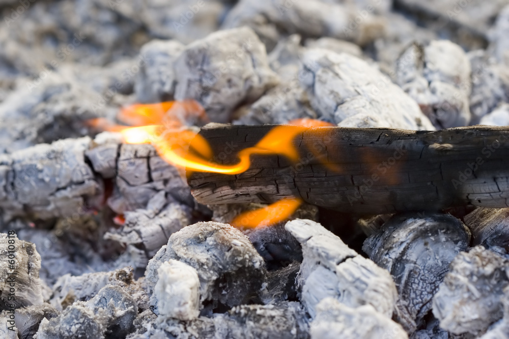 Hot Flames and White Ashes of Black Burned Wooden Logs Hot Flames and White Ashes of Black Burned Wooden Logs