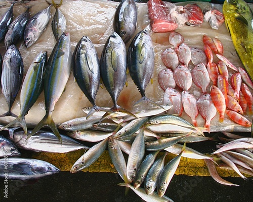 Fish Market in Taiwan