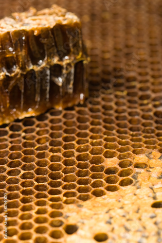 macro honeycomb with piece