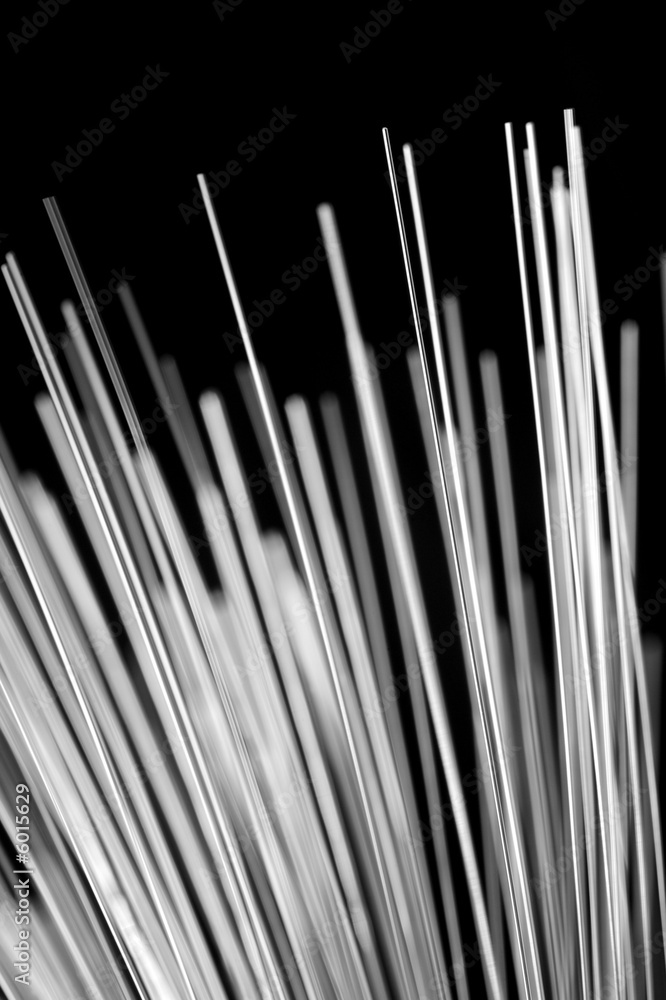 Optic Fibers Optic Fibers