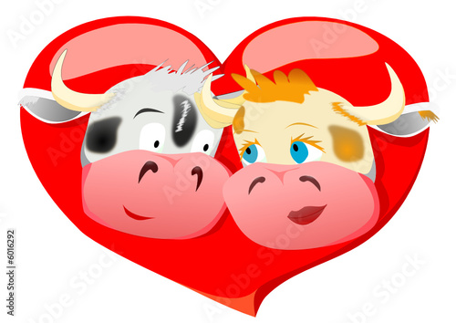 Coeur St Valentin vache