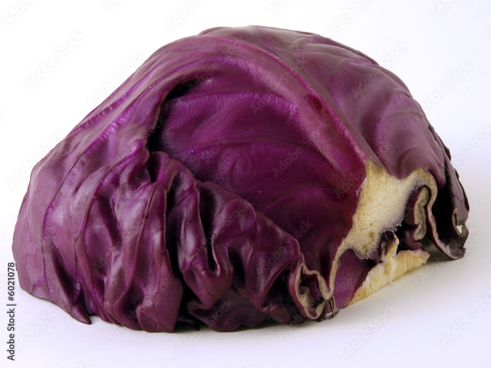 Obraz premium Rotkohl