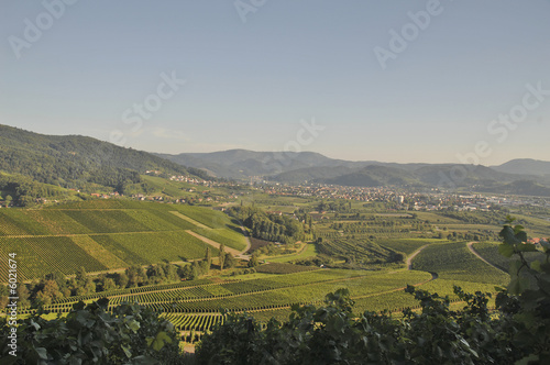 Oberkirch im Schwarzwald