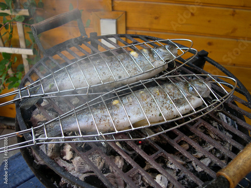Forellen auf dem Grill