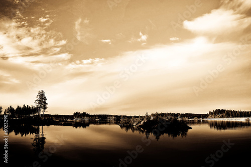 swedish reflections