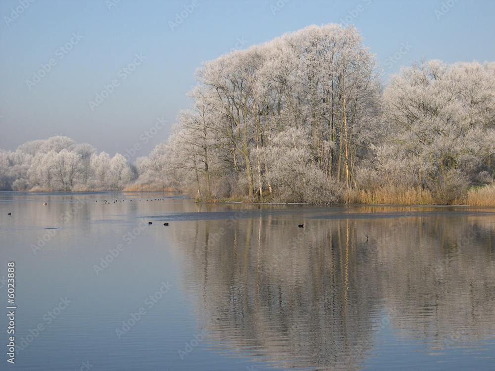 Winterlicher Teich