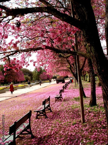 Porto Alegre na primavera II