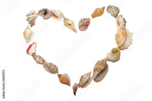 Set of seashell  in the form of heart on white