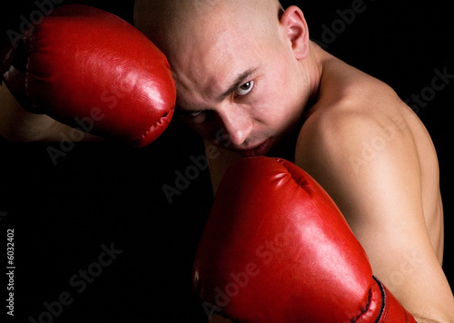Foto Boxer.