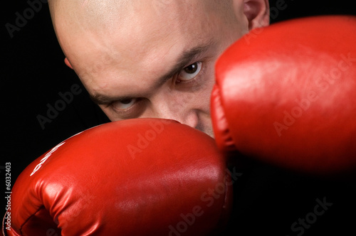 Foto Boxer.