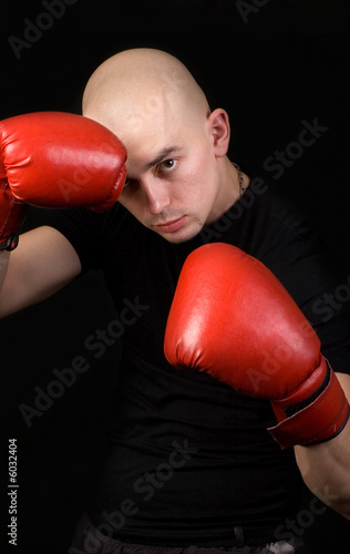 Fotografie Boxer.
