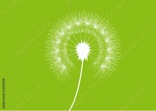 Pusteblume vektor