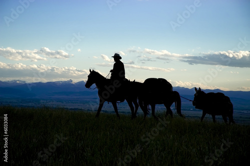 Cowboy bringing supplies to the back country. Montana 