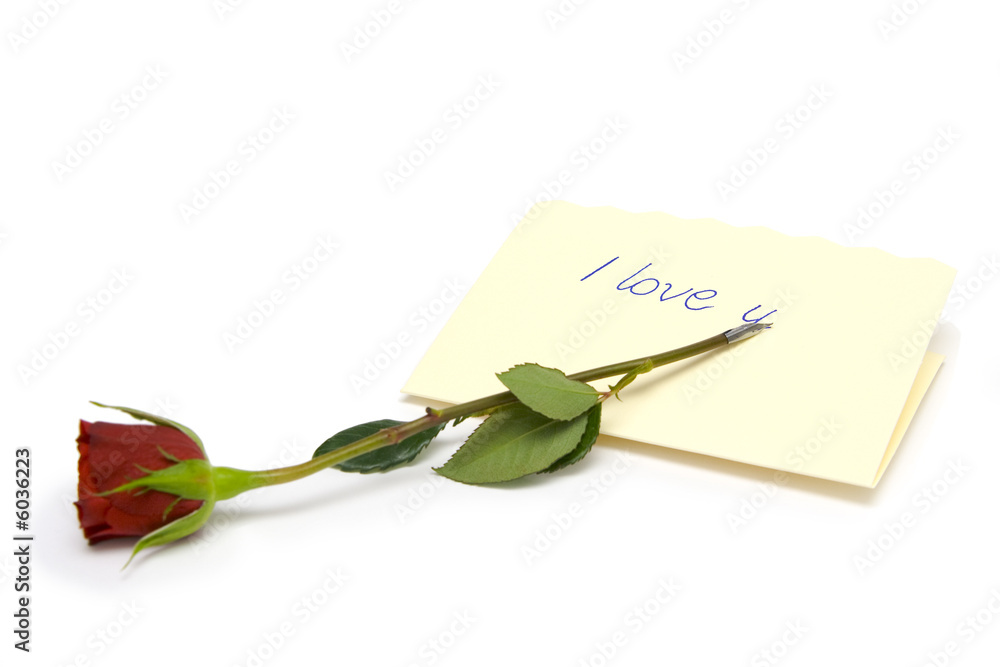 Fototapeta premium Red rose and love letter on a white