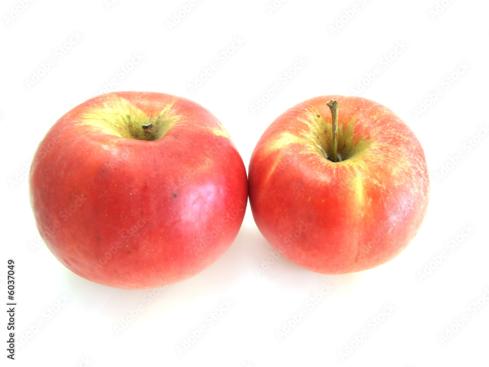 apple apple