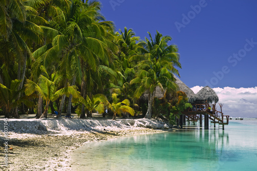 Tropical Dream Beach Paradise of the South Pacific 