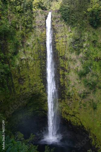 Akaka Falls on Big Island of Hawaii © Nathan Jaskowiak