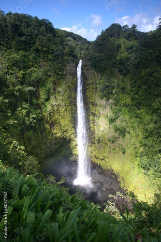 фотографія Akaka Falls on Big Island of Hawaii