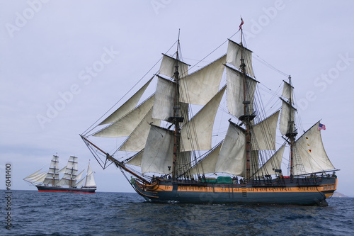 Tall Ship at Sea under full sail with ships in the background.