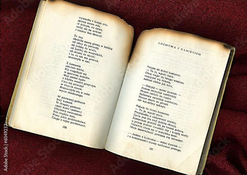 burned book