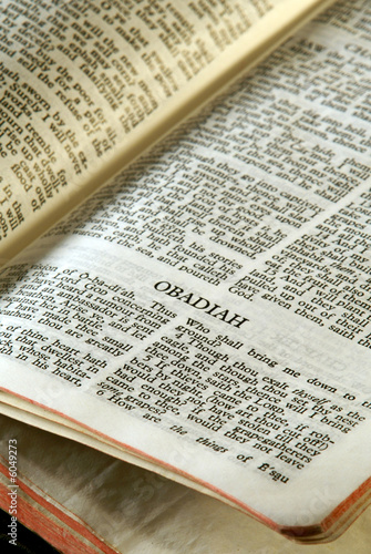  holy bible open to the book of obadiah in the old testament