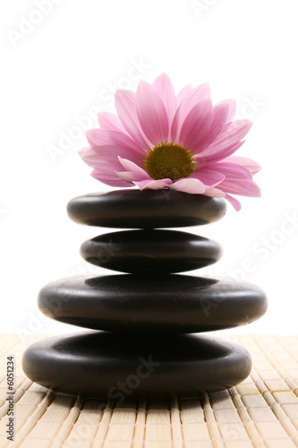 pebbles stack with pink daisy - health care