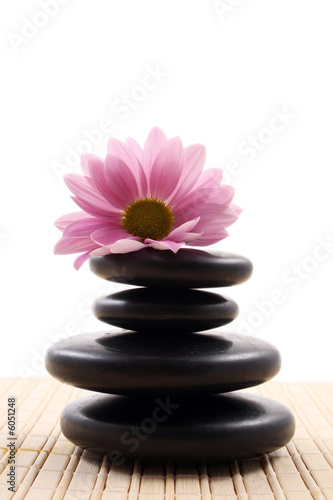 pebbles stack with pink daisy - health care