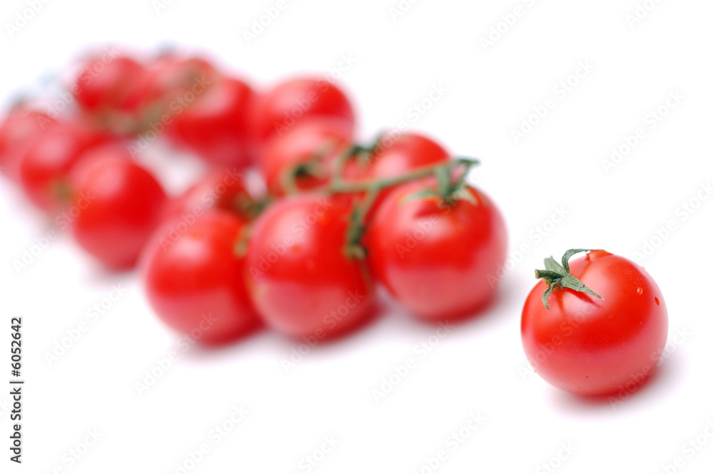 group of tomatoes with a leader group of tomatoes with a leader