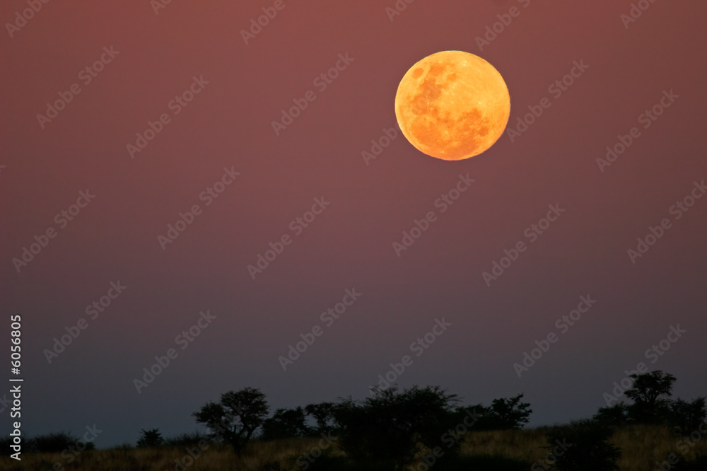 Obraz premium Moonlit landscape