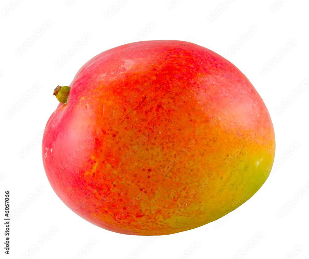 the mango fruit isolated with clipping path the mango fruit isolated with clipping path