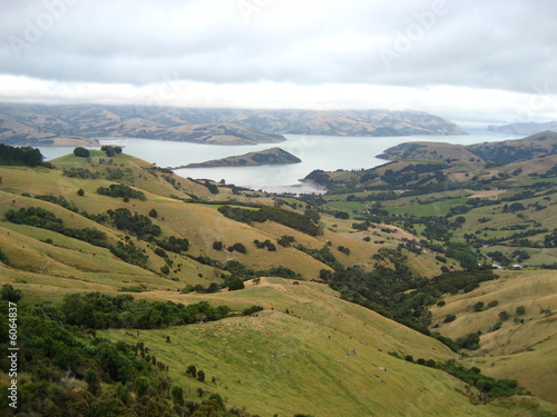 South Island, NZ [near Lyttelton]