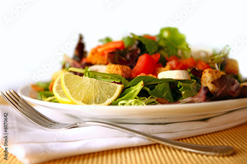 Healthy Salad on a Plate Focus on Lemon