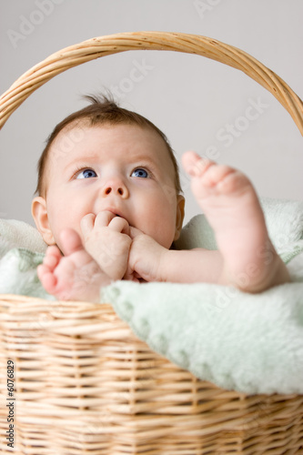 Baby in basket