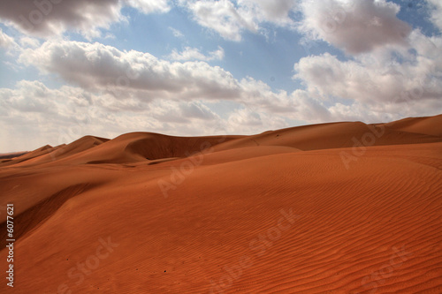 The Desert (Sultanate of Oman / Middle East)