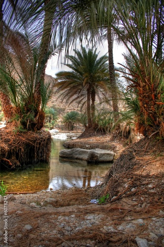 Oasis in the desert  near Muscat  Oman 