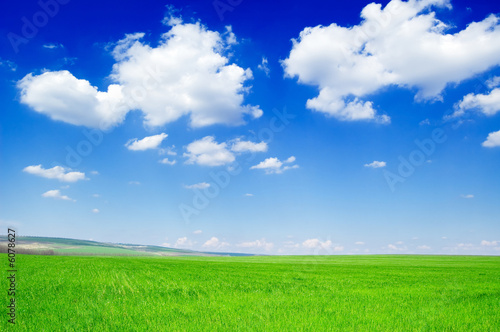 green field and beautiful white clouds