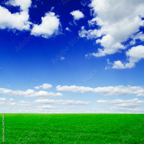 field and sky