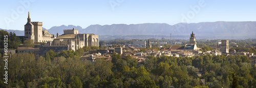 Vue panoramique sur Avignon et le Palais des Papes