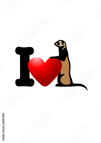 I love ferret