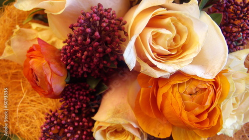 Konstfotografi Rosen
