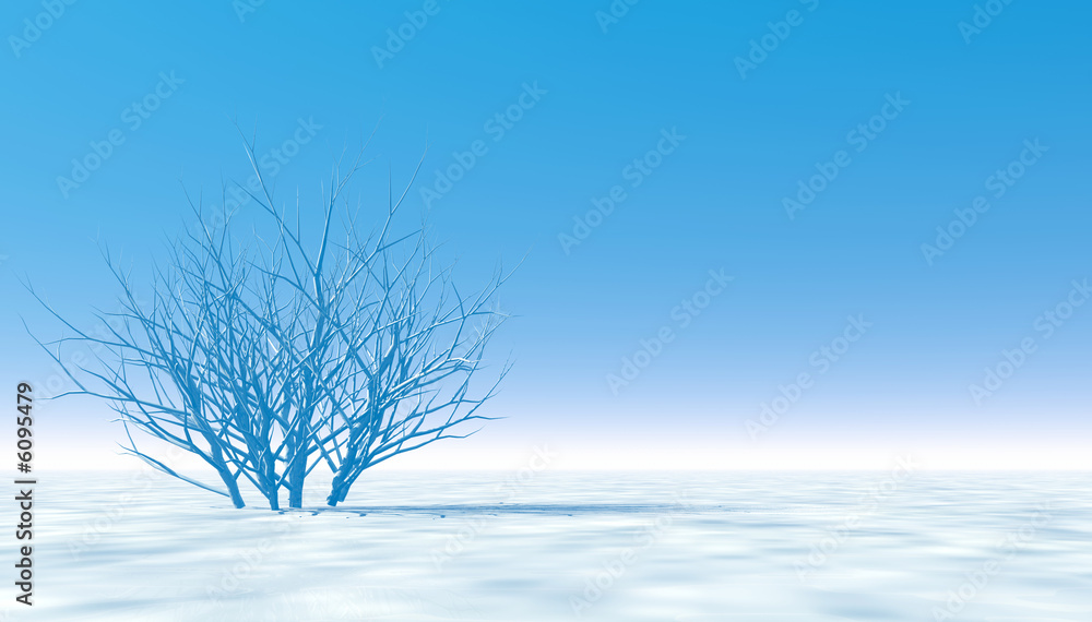 White winter scene White winter scene
