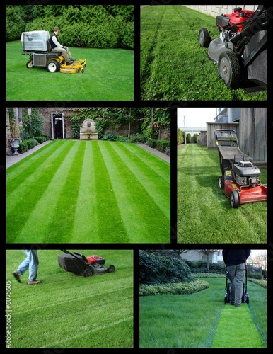 lawn maintenance
