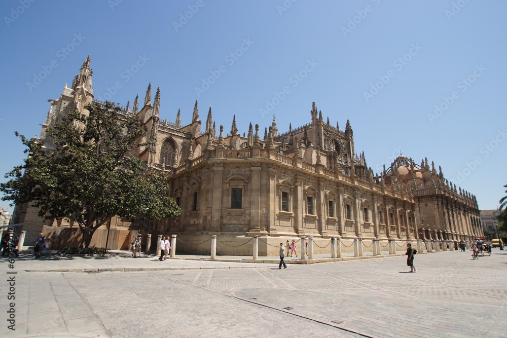 Sevilla's Cathedral