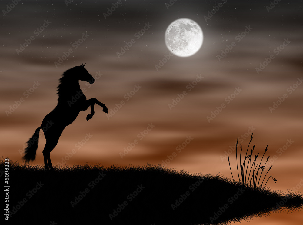 Cavallo al chiaro di luna - obrazy, fototapety, plakaty 