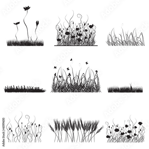 Silhouettes of grass, flowers and butterflies