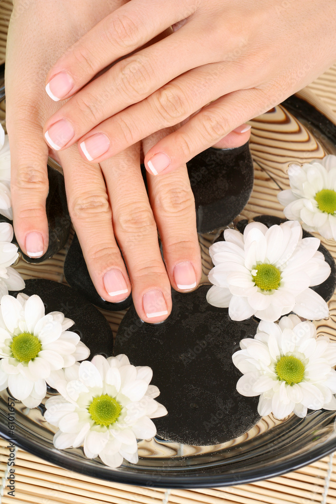beautiful female hands and bowl of pure water with daisy beautiful female hands and bowl of pure water with daisy