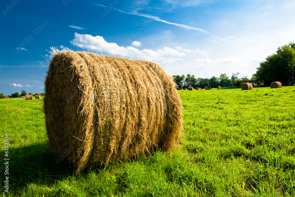 Obraz premium balot de foin dans un champ